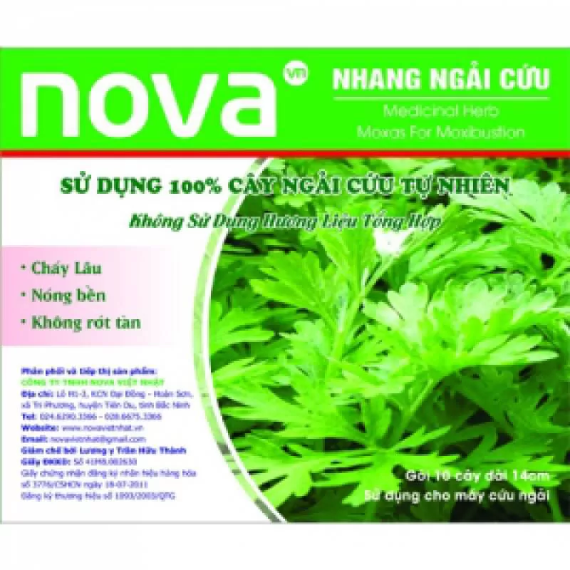 Máy xông ngải cứu Nova Việt Nhật
