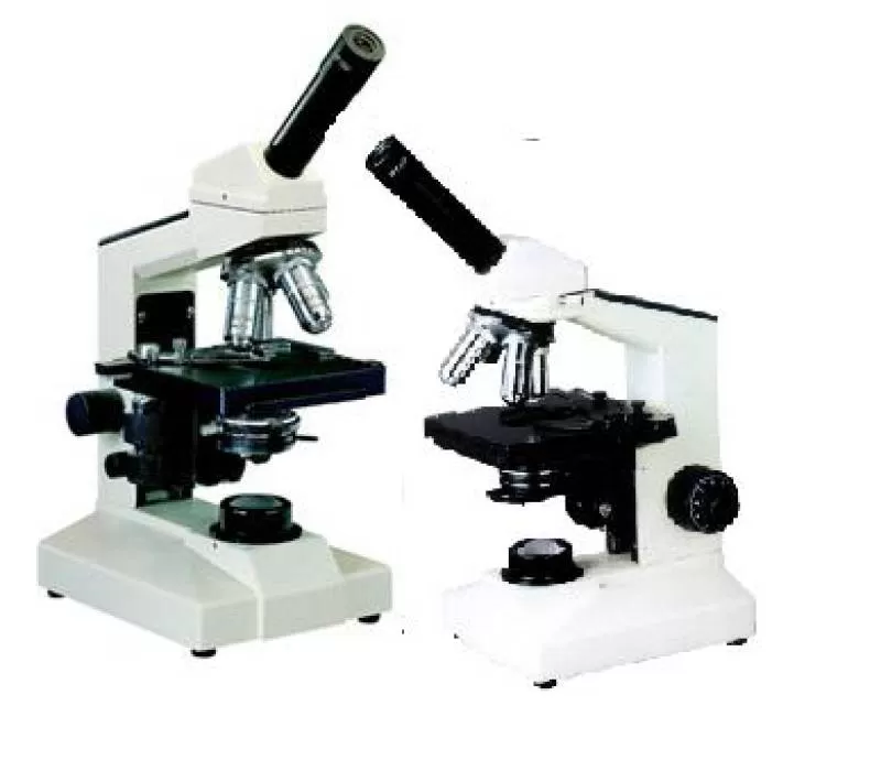 Kính hiển vi L1000