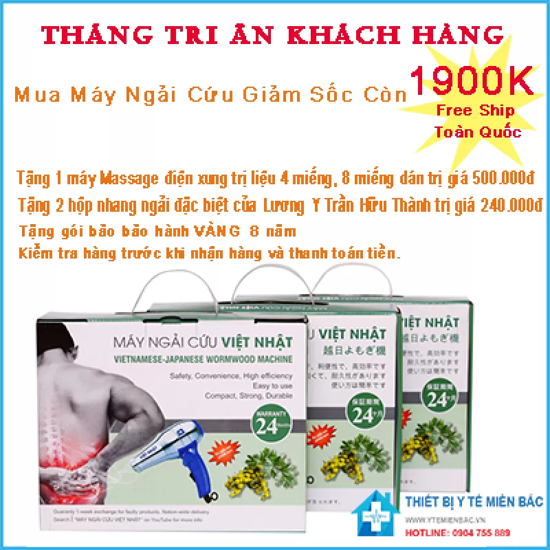 Máy Cứu Ngải Hải Phòng