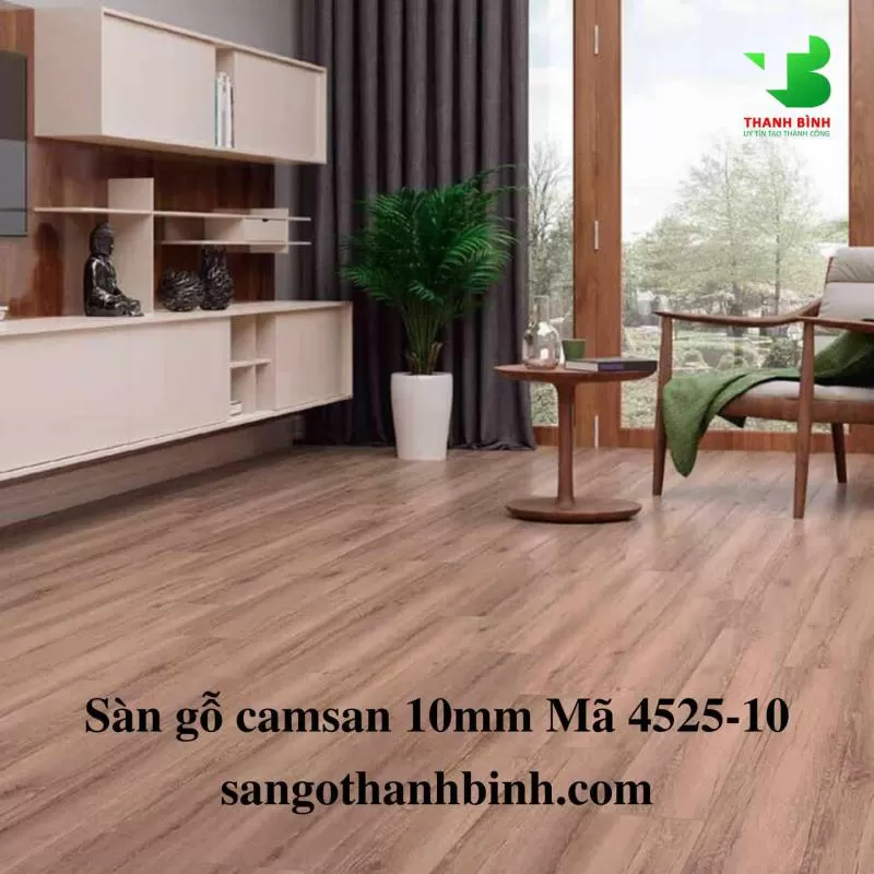 Camsan 10mm Mã 4525