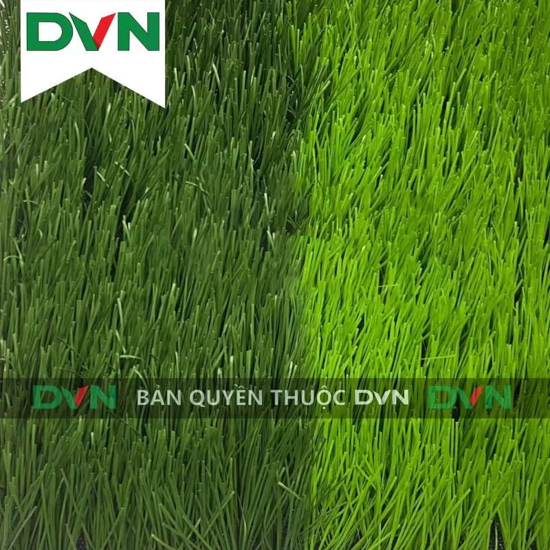 Cỏ sân bóng DVN 15KC2-50217-12