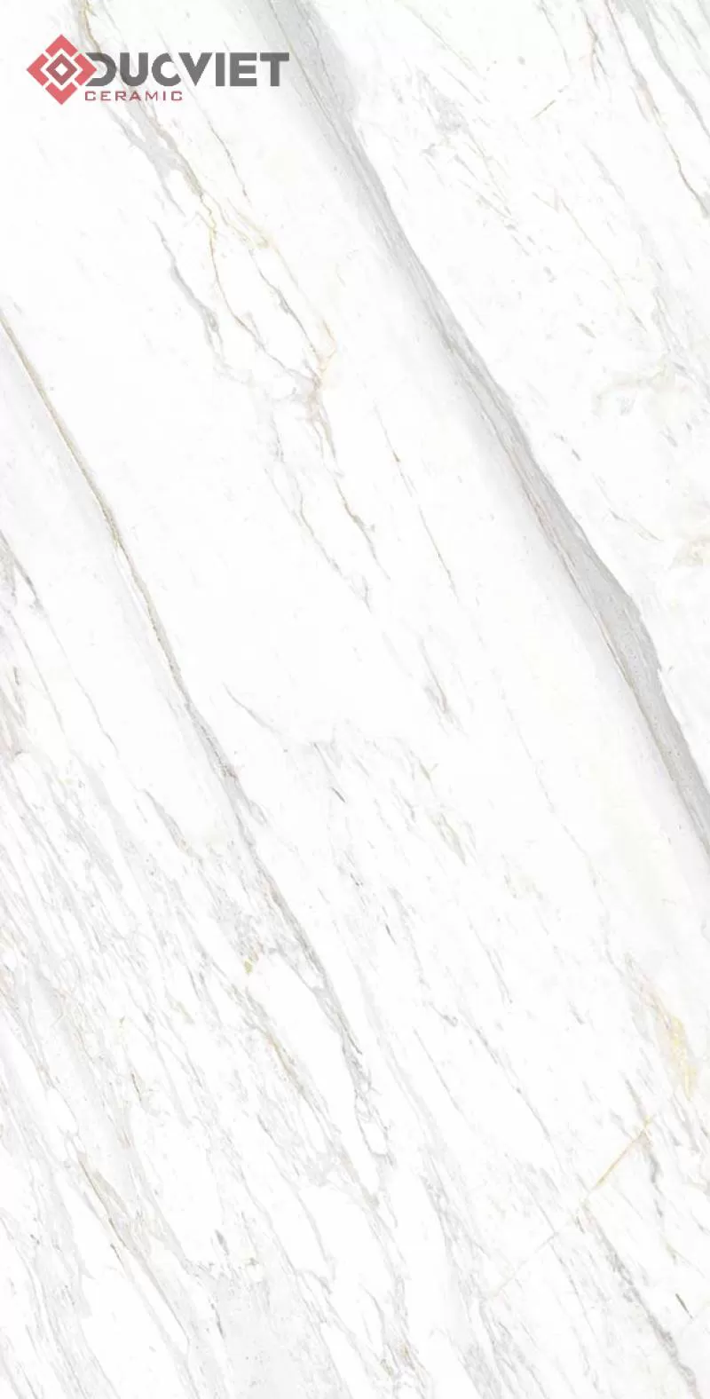 Gạch 60x120 Eurotile SIG-P61201 