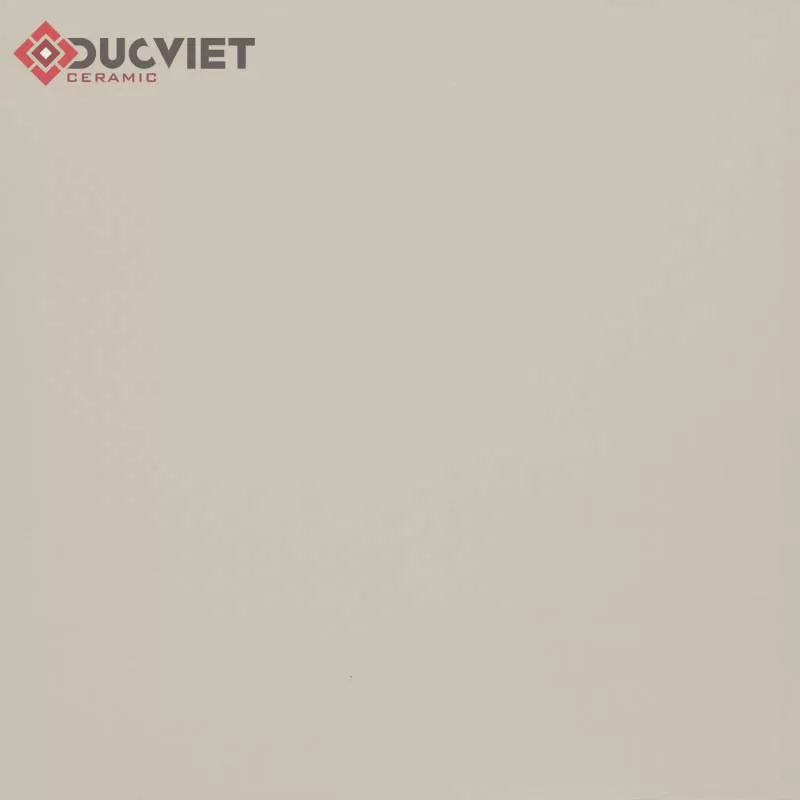 Gạch 80x80 Viglacera TS5-801