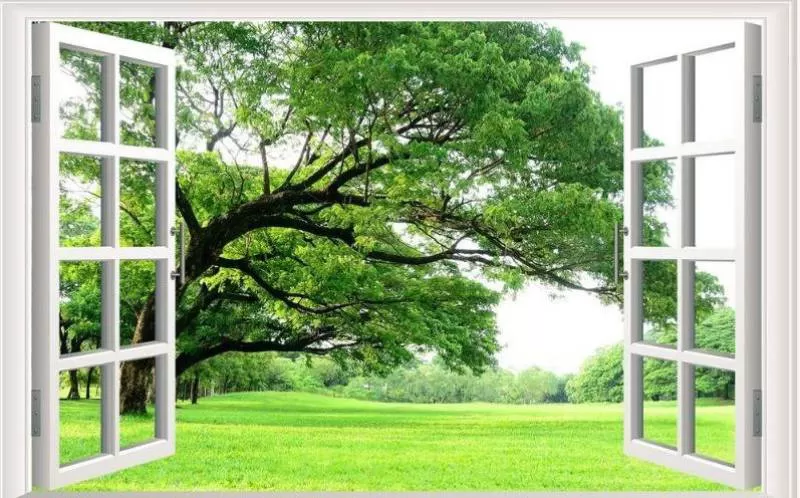 Tranh dán tường cửa sổ 3D khung cảnh công viên buổi sáng