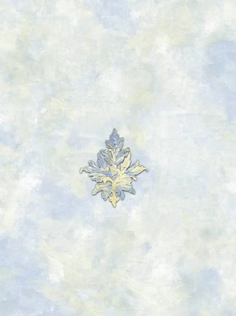 Giấy dán tường Amazing 91033