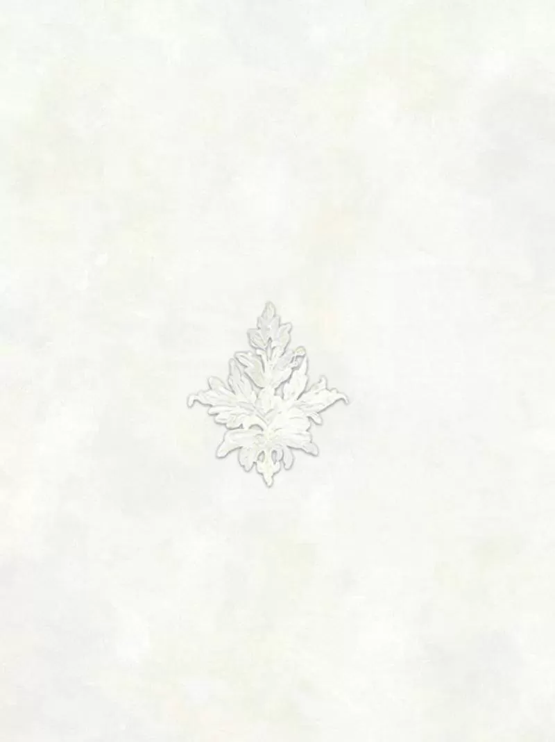 Giấy dán tường Amazing 91034