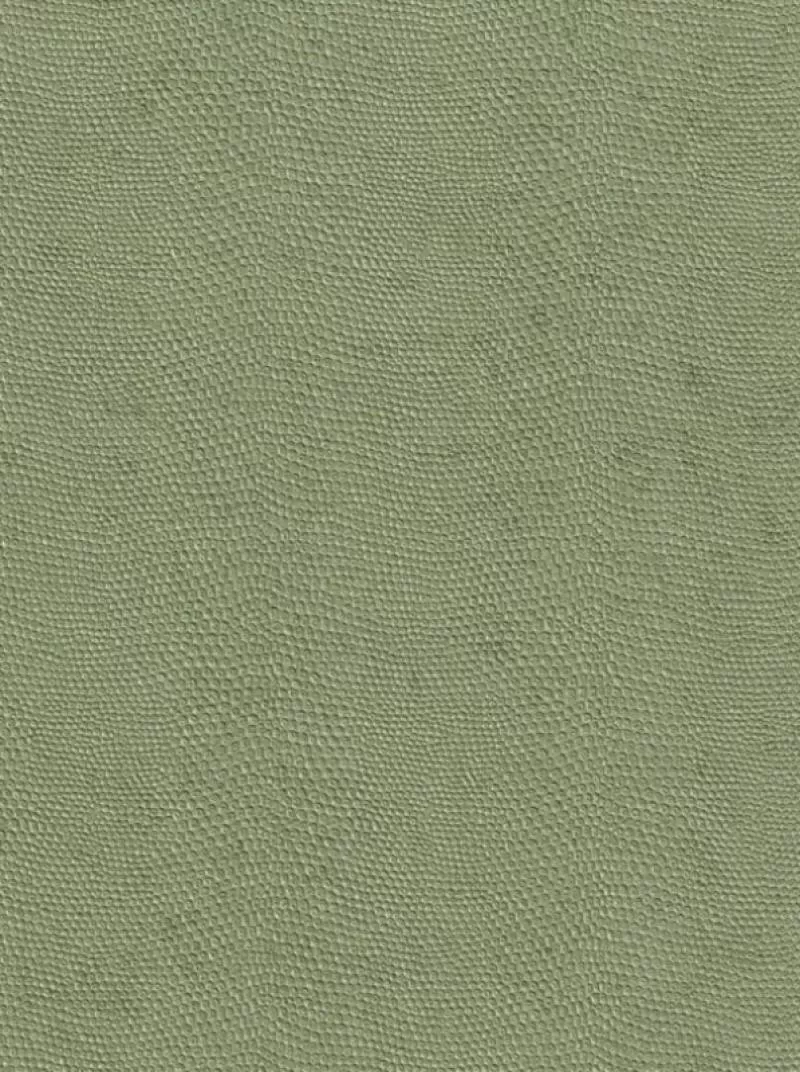 Giấy dán tường Best M80048