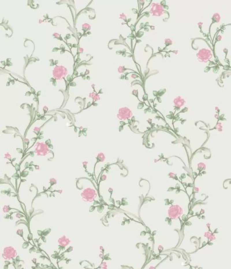 Giấy dán tường Cassia 8704-2