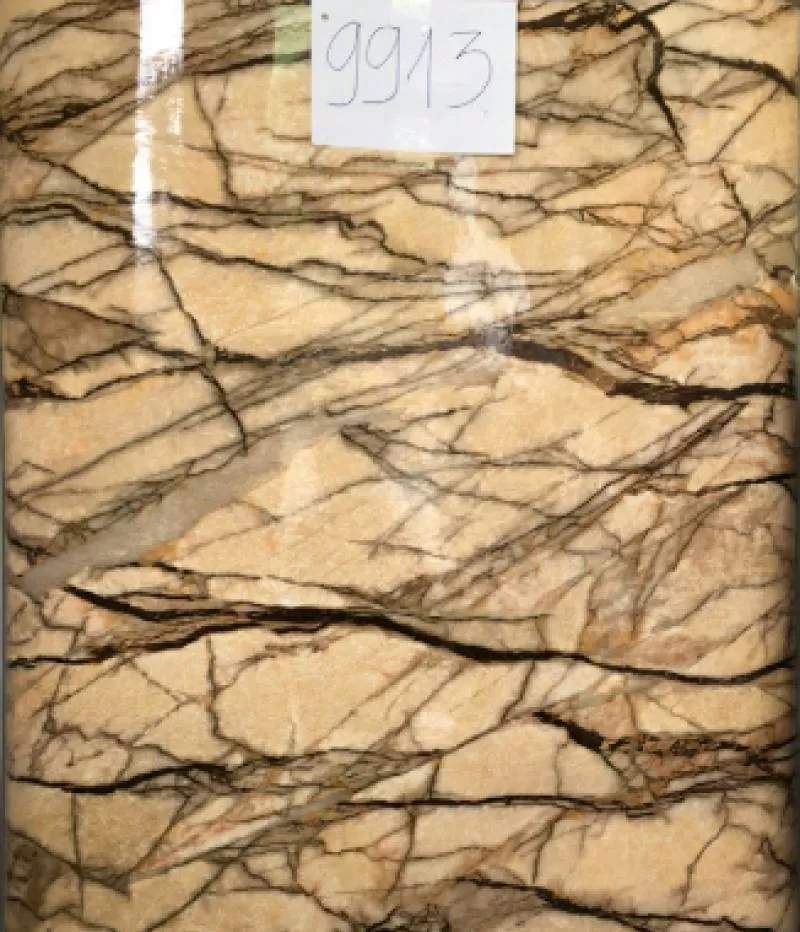 Decal dán tường 9913