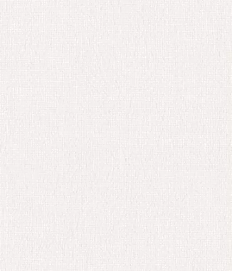 Giấy dán tường D&D 65389-2