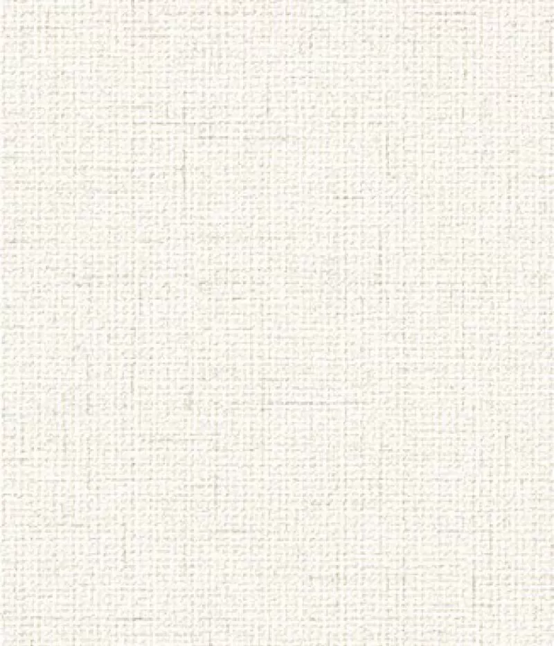 Giấy dán tường D&D 65418-2