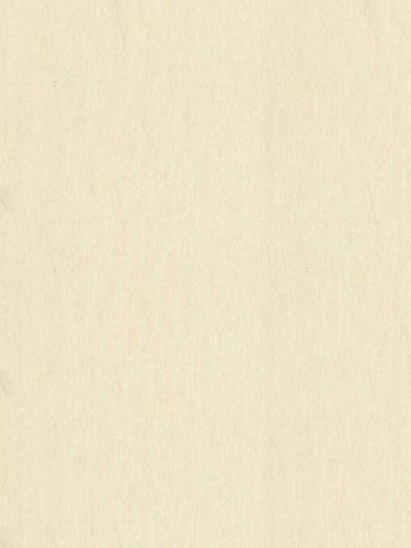 Giấy dán tường Angel 59009-1