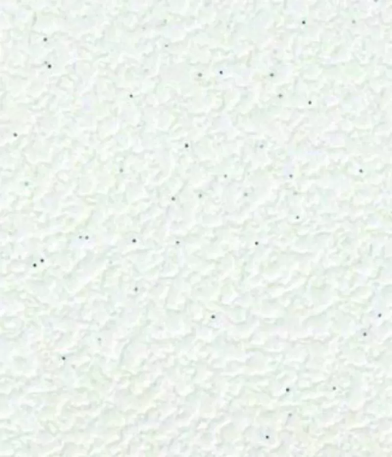 Giấy dán tường D&D BM1602-A