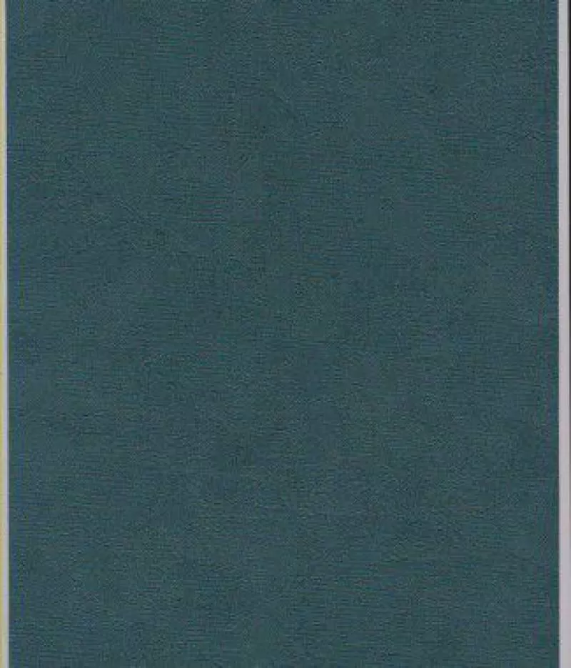 Giấy dán tường DIO 14163