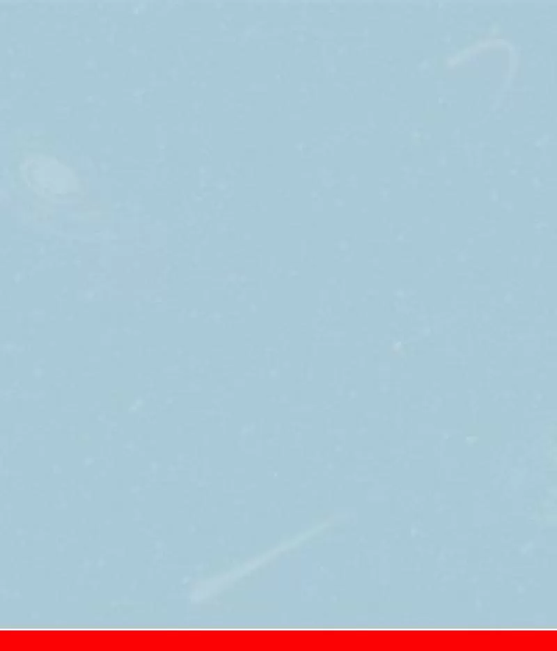 Giấy dán tường Dream World A5084-3