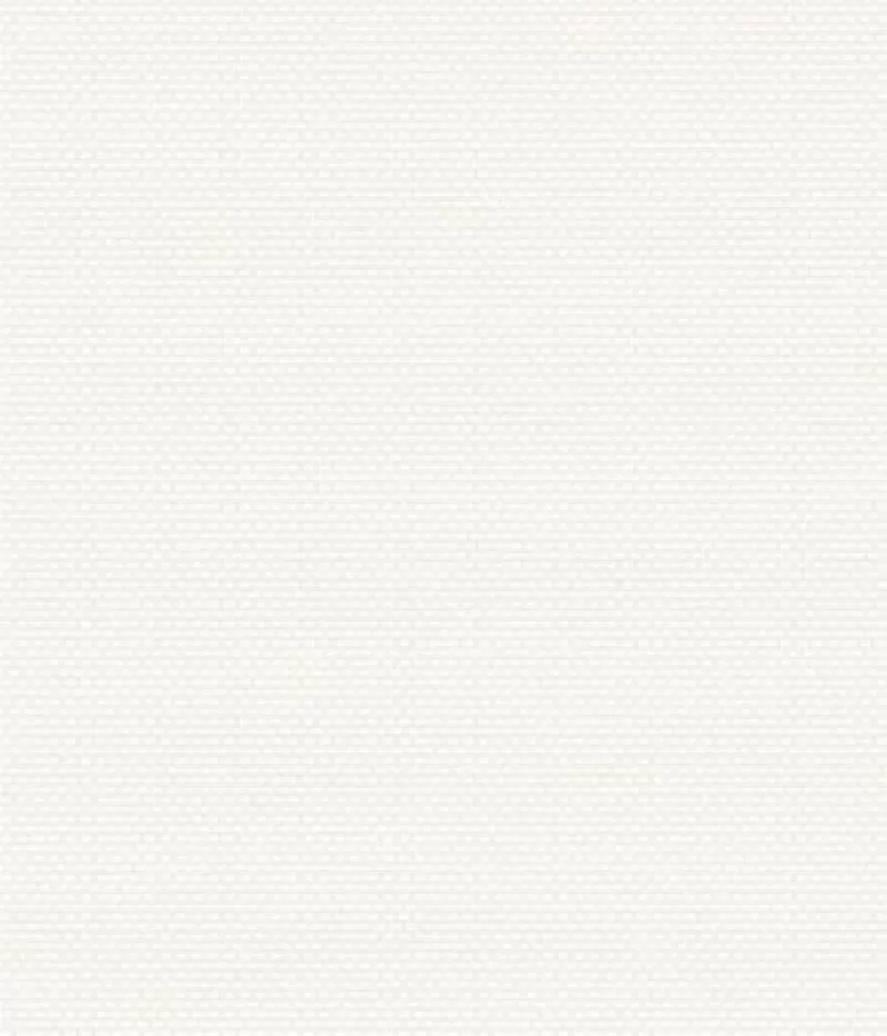 Giấy dán tường Elysia 70012-1