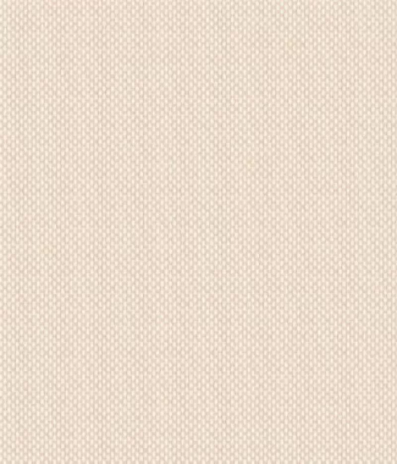 Giấy dán tường Elysia 70018-2