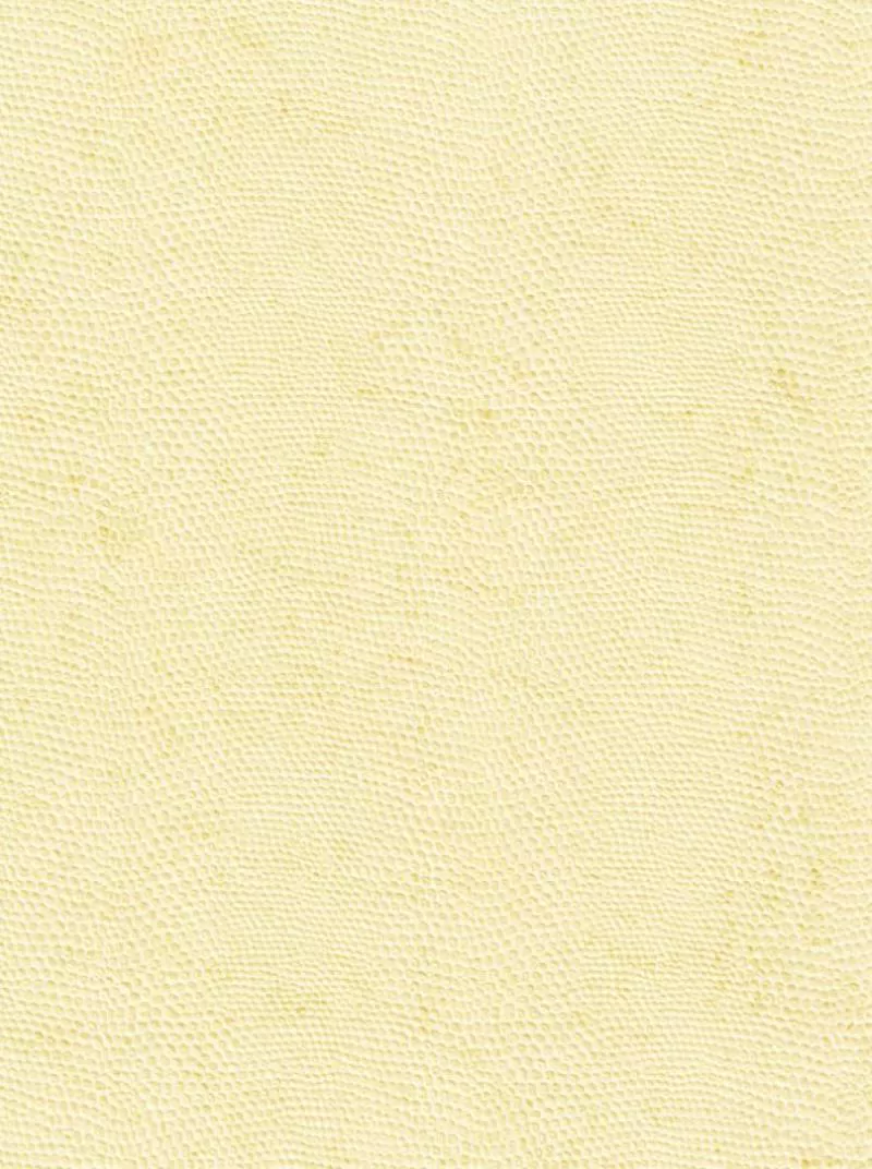 Giấy dán tường Best M80042