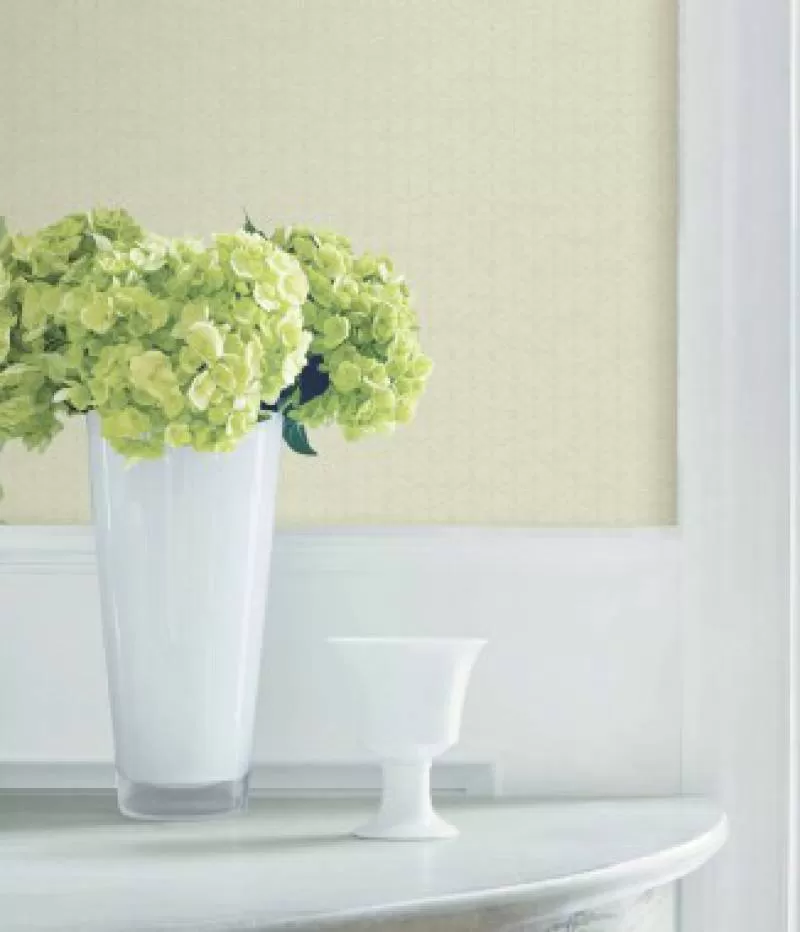 Giấy dán tường Cassia 8703-2