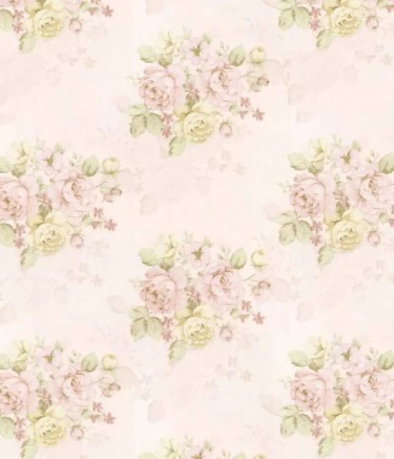 Giấy dán tường Cozy 954-1