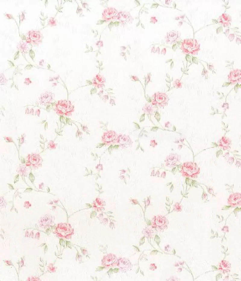 Giấy dán tường Cozy 955-1