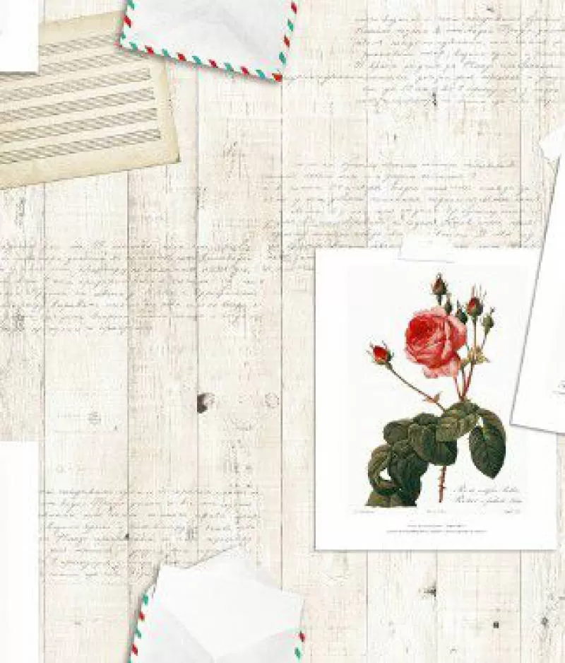 Giấy dán tường DIO 14071