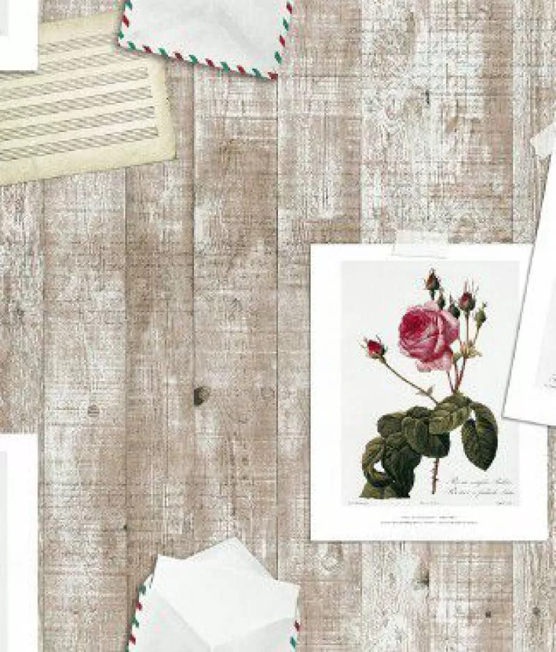 Giấy dán tường DIO 14073