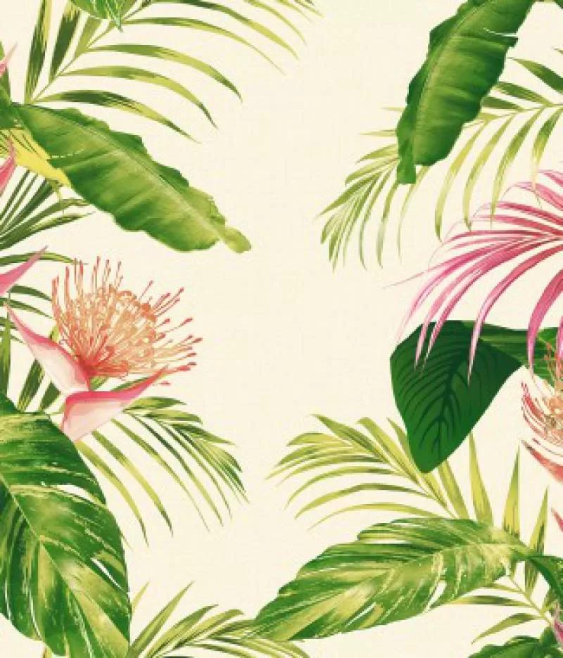 Giấy dán tường Imperial 81016-2