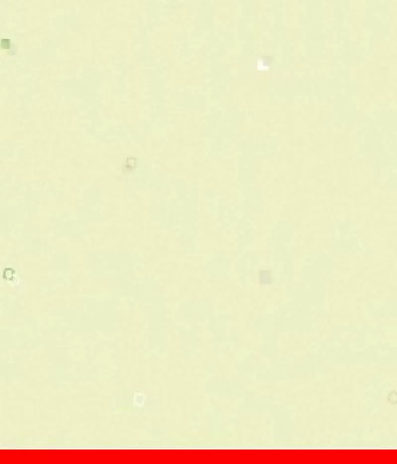 Giấy dán tường Dream World A1047-1