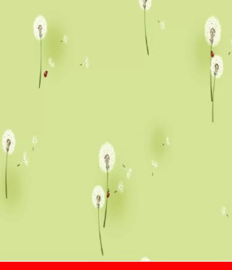 Giấy dán tường Dream World A5063-2