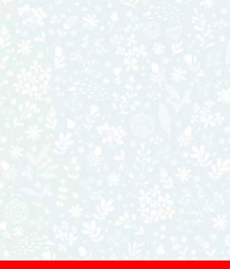 Giấy dán tường Dream World A5093-2