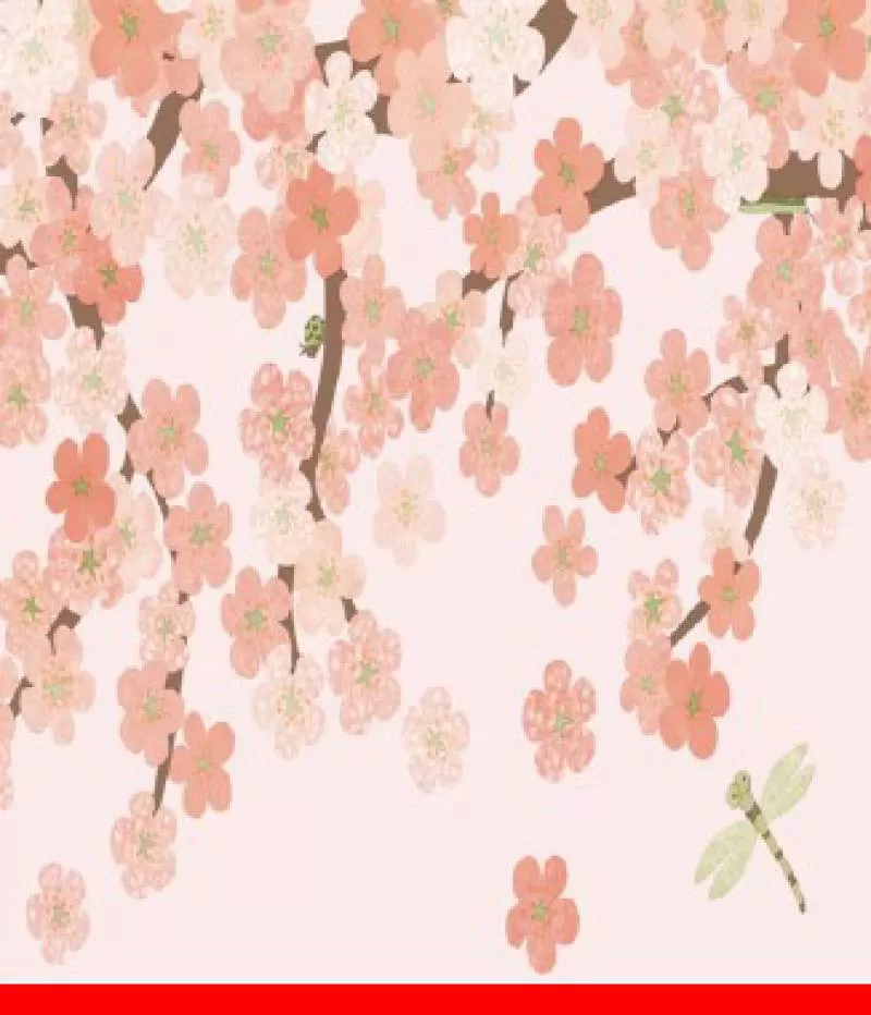 Giấy dán tường Dream World A515-1