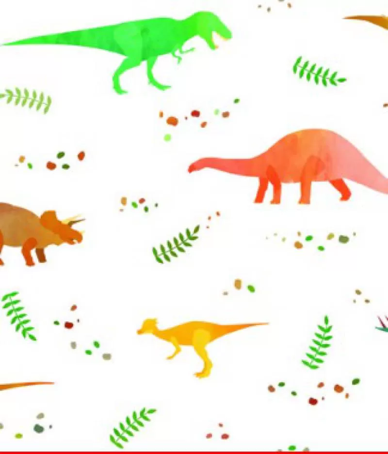 Giấy Dream World A5109-1