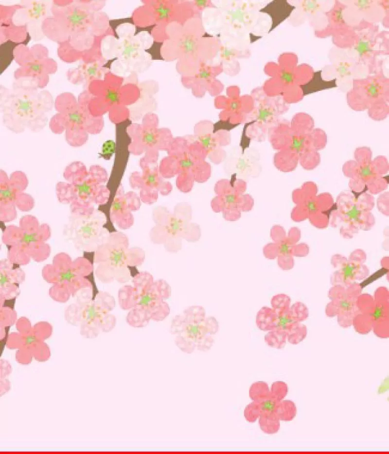 Giấy Dream World A515-1