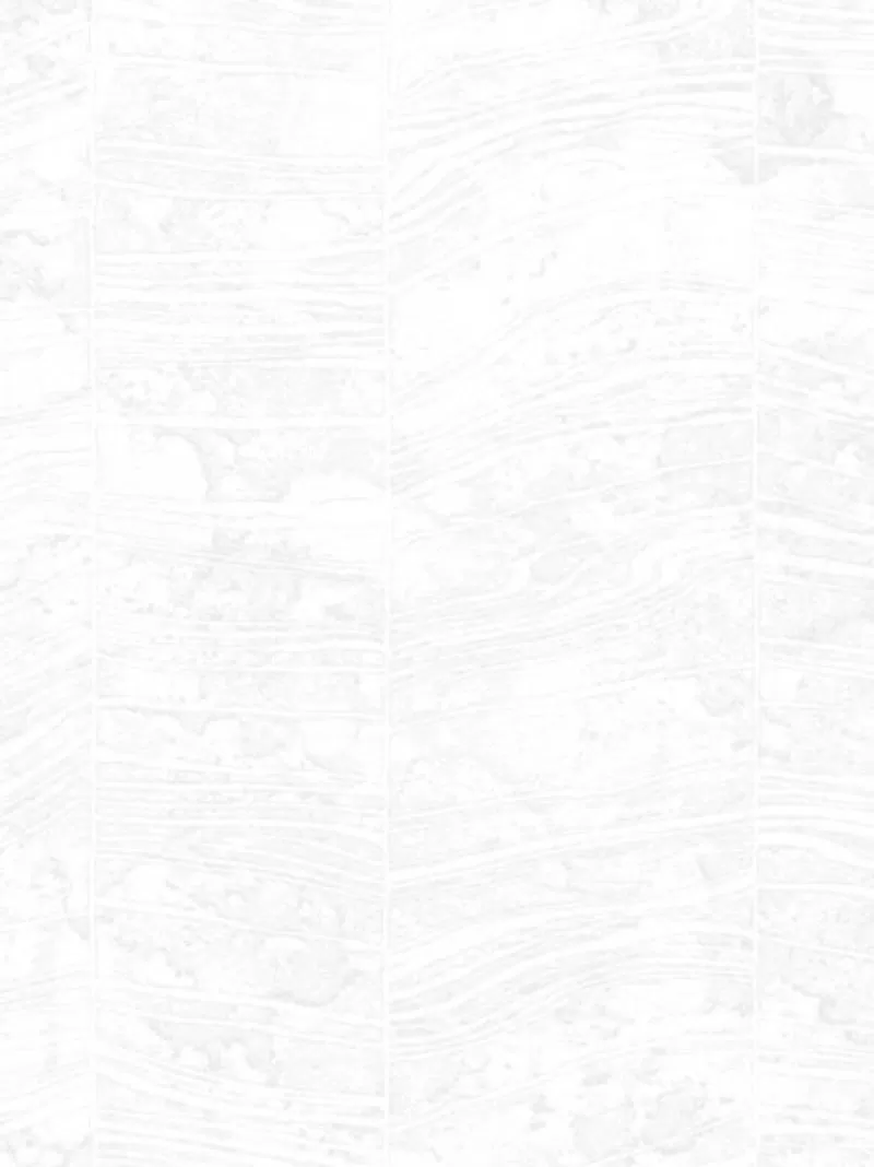 Giấy dán tường Eric 2070