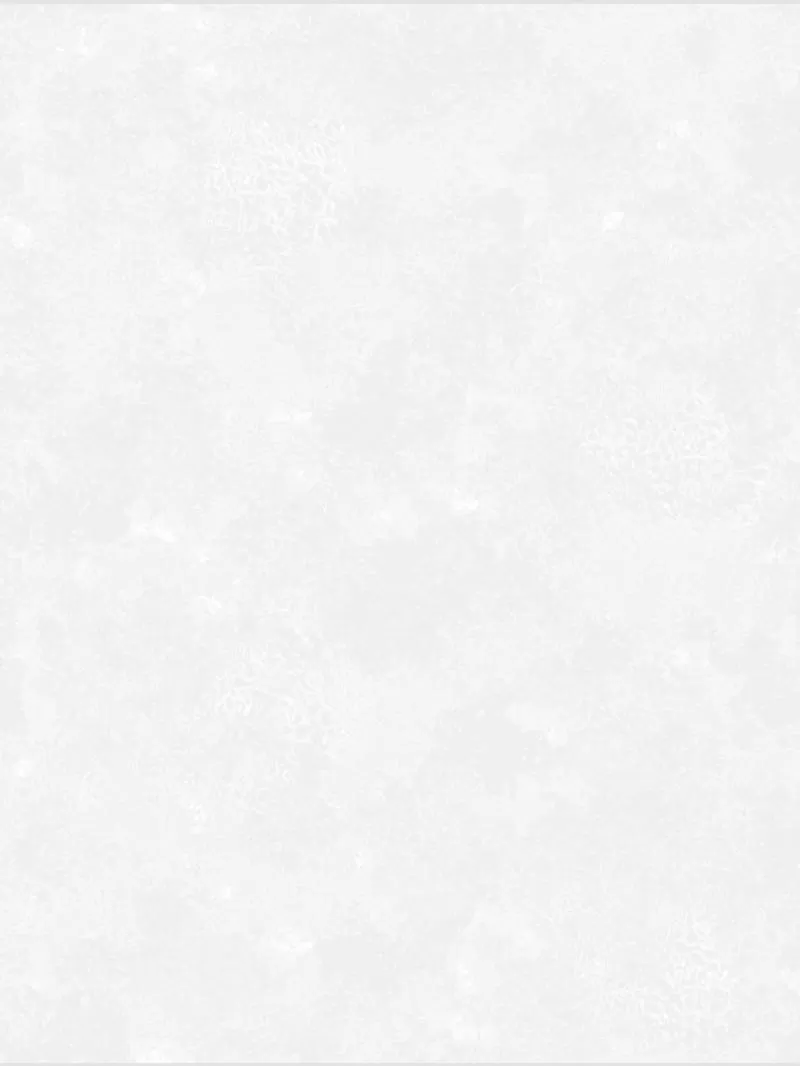 Giấy dán tường Eric 2100