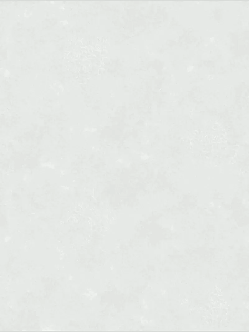 Giấy dán tường Eric 2102