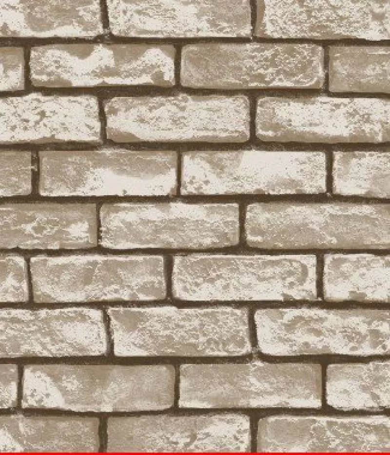 Giấy dán tường Library 2575-2