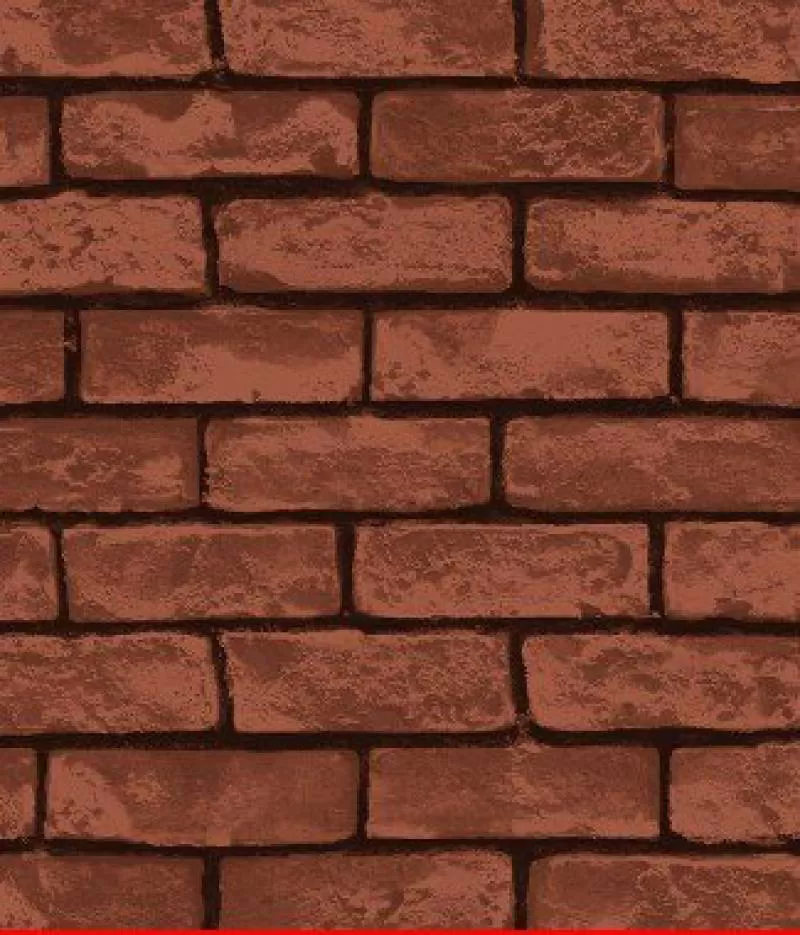 Giấy dán tường Library 2575-3