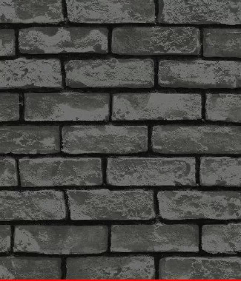 Giấy dán tường Library 2575-4