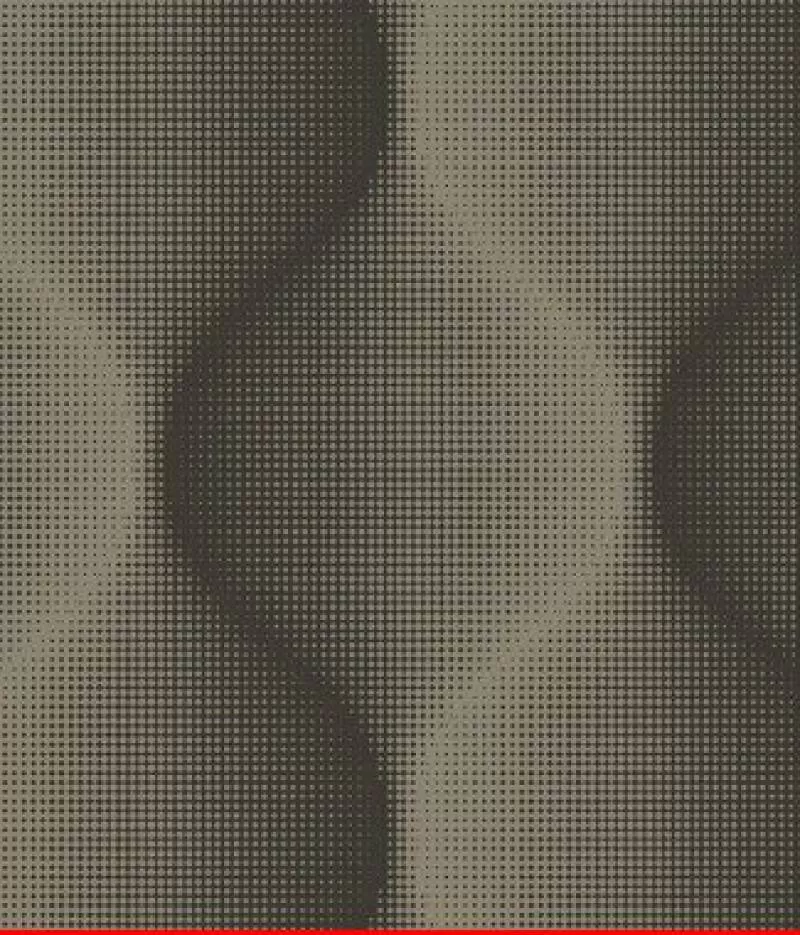 Giấy dán tường Library 2589-5