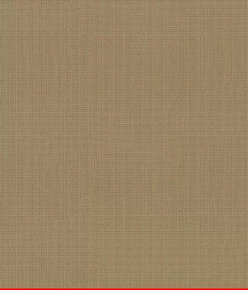 Giấy dán tường Library 2594-4