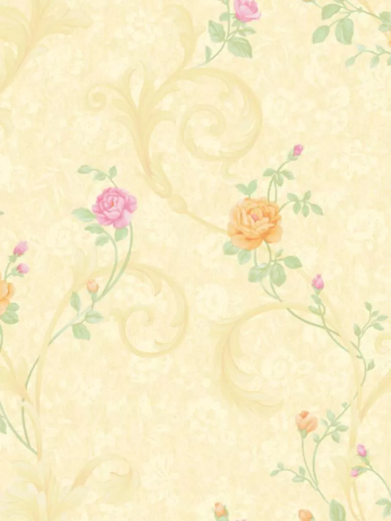 Giấy dán tường Angel 51009-2