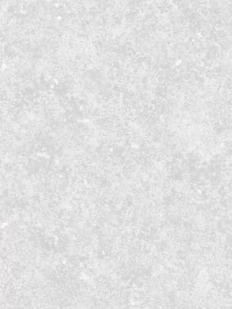 Giấy dán tường Eric 2084