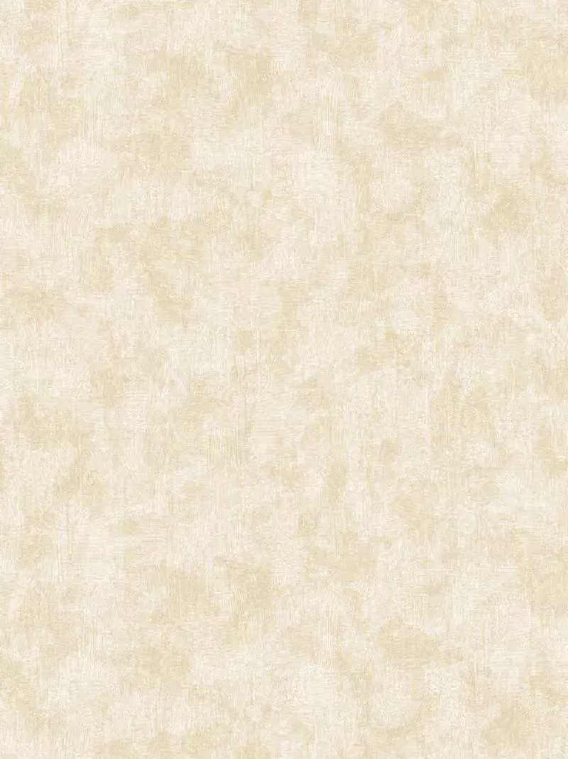 Giấy dán tường Hot Style 8806-2