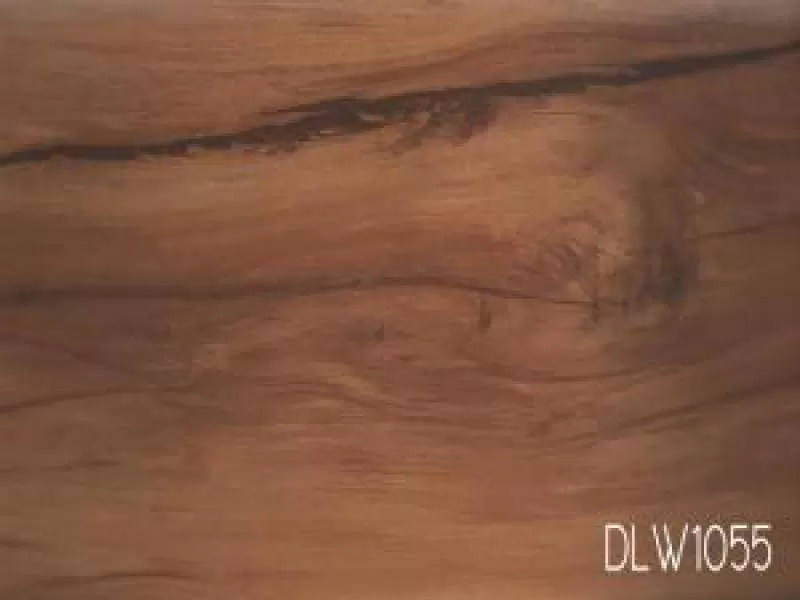 dlw1055