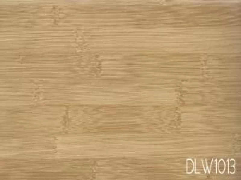 dlw1013