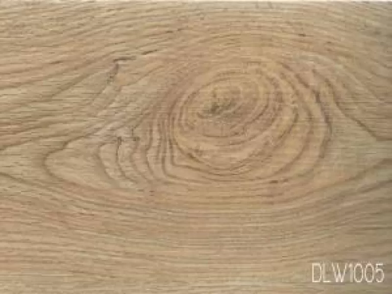 dlw1005