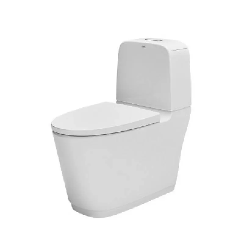 Bồn cầu 2 khối INAX AC-832VN 