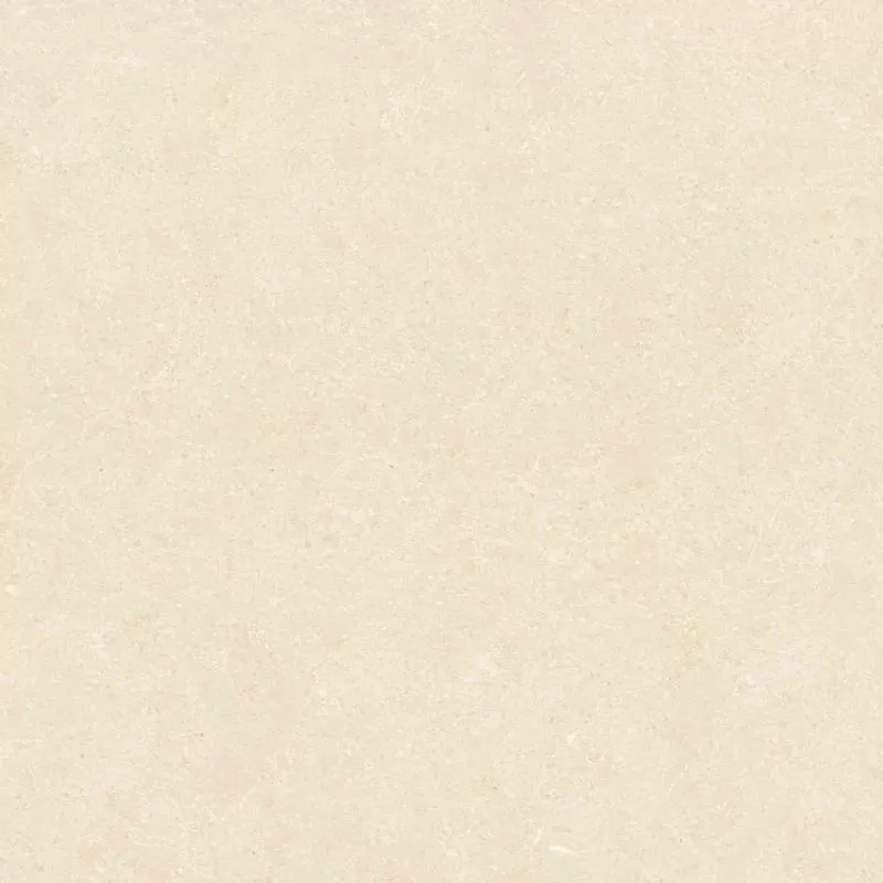 Gạch Lát Nền 60x60 Vamcotay004
